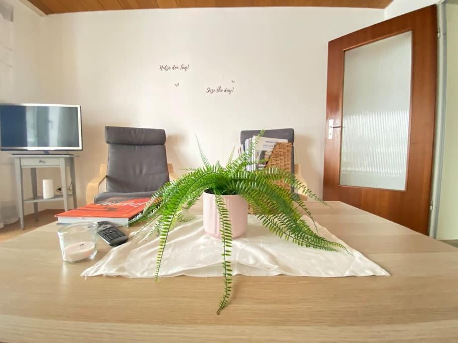 Cozy Home In South-Germany Klettgau 외부 사진